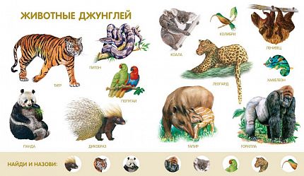 Моя первая энциклопедия животных - книжный интернет-магазин delivery-shop24.ru
