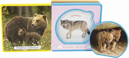 Книжка с мягкими пазлами. Мои первые книжки. Лесные животные с детенышами - книжный интернет-магазин delivery-shop24.ru