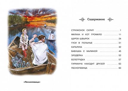 Астафьев В. Стрижонок Скрип - книжный интернет-магазин delivery-shop24.ru