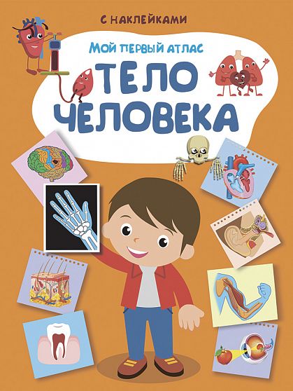 Мой первый атлас. Тело человека - книжный интернет-магазин delivery-shop24.ru