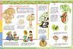 Моя первая энциклопедия. Тайны растений