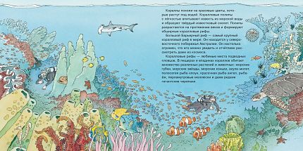 Первая книга знаний. На воде и под водой - книжный интернет-магазин delivery-shop24.ru